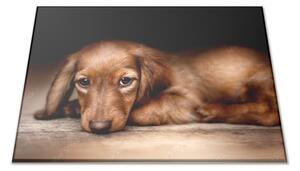 Sklenená doštička hnedý pes jazvečík - 30x20cm