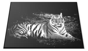 Sklenená doštička ležiaca čiernobiely tiger - 30x20cm