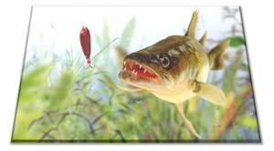 Sklenené lopárik dravá ryba zubáč - 30x20cm