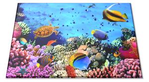 Sklenená doštička morský svet rybky, korytnačka, sasanky - 30x20cm