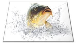 Sklenené lopárik sladkovodné ryba kapor - 30x20cm