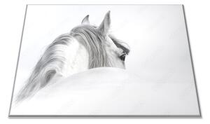 Sklenená doštička andalúzsky kôň v hmle - 30x20cm