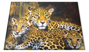 Sklenená doštička šelma jaguár s mláďatami - 30x20cm