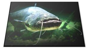 Sklenené lopárik dravá ryba sumec - 30x20cm