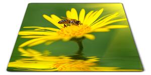 Sklenená doštička včela na žltej margaréte - 30x20cm