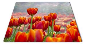 Sklenená doštička poľa červených tulipánov - 30x20cm