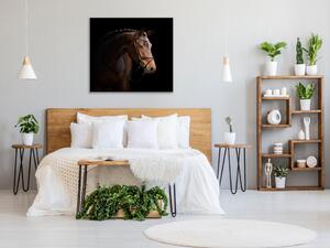 Obraz sklenený kôň hnedý - 55 x 55 cm