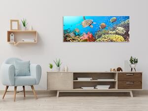Obraz sklenený morský svet - 50 x 100 cm