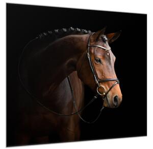 Obraz sklenený kôň hnedý - 55 x 55 cm