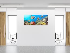 Obraz sklenený morský svet - 30 x 60 cm