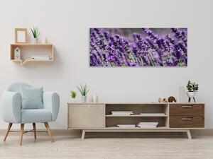 Obraz sklenený kvety fialovej levandule - 50 x 100 cm