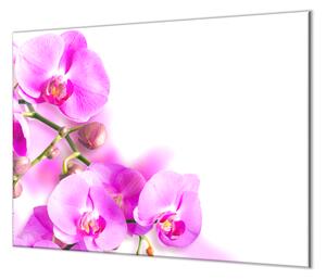 Ochranná doska kvety fialovej orchidey - 40x40cm / ANO