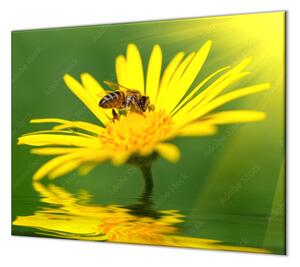 Ochranná doska včela na žltej margaréte - 40x40cm / ANO