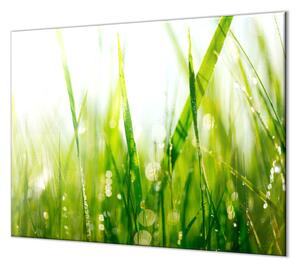 Ochranná doska zelená tráva s rosou - 40x40cm / NE