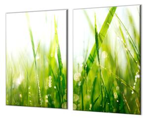 Ochranná doska zelená tráva s rosou - 55x55cm / ANO