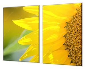 Ochranná doska detail kvet slnečnice - 40x40cm / ANO