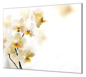Ochranná doska kvety žlté orchidey - 55x55cm / ANO