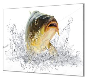 Ochranná doska ryba kapor lysec - 40x60cm / NE
