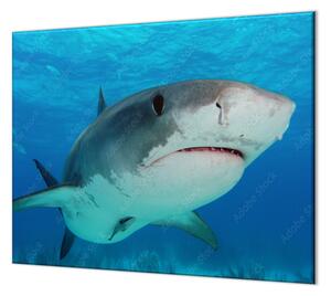 Ochranná doska dravá ryba žralok v mori - 52x60cm / ANO