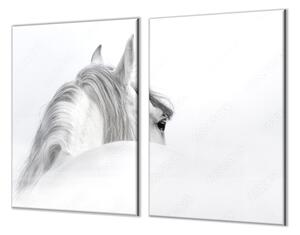 Ochranná doska silueta andalúzskeho koňa - 52x60cm / ANO