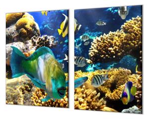 Ochranná doska morský svet, koraly, ryba - 52x60cm / ANO
