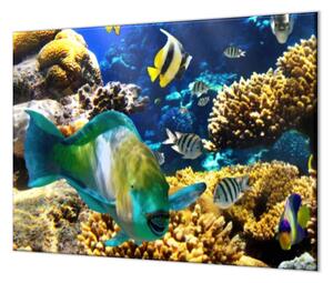 Ochranná doska morský svet, koraly, ryba - 40x40cm / NE