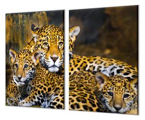 Ochranná doska šelma jaguár s mláďatami - 52x60cm / ANO