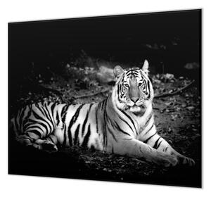 Ochranná doska čiernobiely tiger - 52x60cm / NE