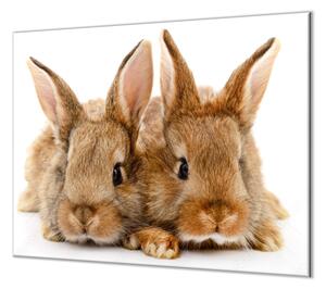 Ochranná doska dva roztomilí králici - 55x55cm / NE