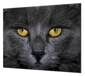Ochranná doska detail tváre čierna mačka - 40x40cm / ANO
