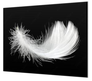 Ochranná doska biele perie na čiernom - 55x55cm / ANO