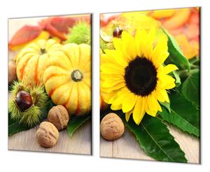 Ochranná doska dekorácie jesenné plody - 52x60cm / ANO