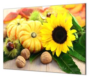 Ochranná doska dekorácie jesenné plody - 55x55cm / NE