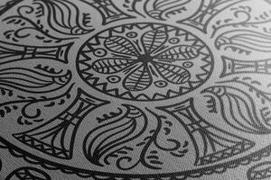 Obraz Mandala s abstraktným prírodným vzorom v čiernobielom prevedení