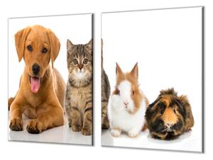 Ochranná doska zvieratá pes, mačka, králik, morča - 60x60cm / ANO