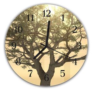 Nástenné hodiny okrúhle pr.30cm slnko v korune stromu - plexi