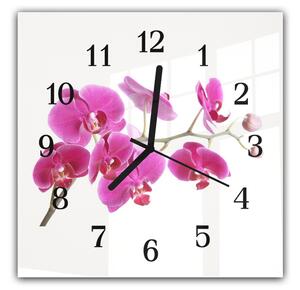 Nástenné hodiny 30x30cm kvety fialovej orchidey na bielom podklade - plexi
