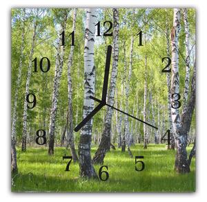Nástenné hodiny 30x30cm príroda brezový les - plexi