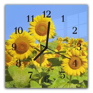 Nástenné hodiny 30x30cm kvety slnečnice na poli - kalené sklo