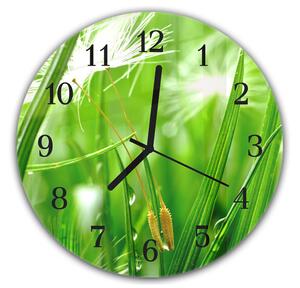 Nástenné hodiny okrúhle pr.30cm detail zelená tráva a páperie púpavy - plexi