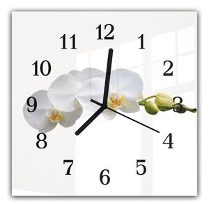 Nástenné hodiny 30x30cm biele kvety orchidey na stonke a bielom pozadí - plexi