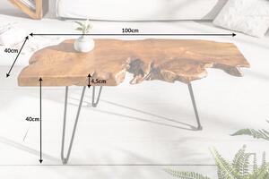 Invicta Interior - Masívny konferenčný stolík WILD 100 cm teak, prírodný
