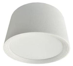 LED Bodové svietidlo LED/12W/230V 4000K pr. 10 cm biela