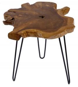 Invicta Interior - Unikátny príručný stolík WILD 55 cm teak, prírodný