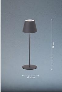 Sivá LED stmievateľná stolová lampa so senzorom pohybu a s kovovým tienidlom (výška 38 cm) Consenza – Fischer & Honsel