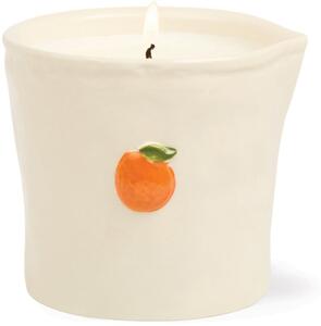 Paddywax Bistro Citrus Spritz vonná sviečka 226 g