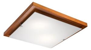 Stropné svietidlo 2xE27/60W/230V