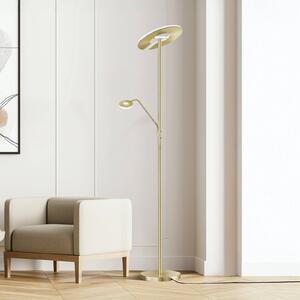 LED stojacia lampa Dent, mosadzná farba, 180 cm, 2-lampa, Mosadz / zlato, Obývacia izba / jedáleň, kov, Moderný, Zemné bodové svetlo