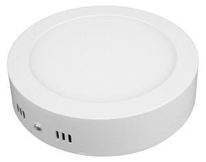LED Stropné svietidlo DIEGO LED/12W/230V 4000K IP40 pr. 16,5 cm biele