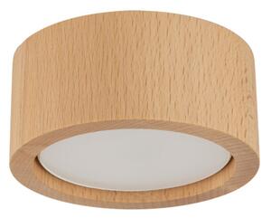 Stropné svietidlo TK 10123 EVE WOOD
